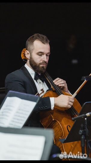 Музыканты на мероприятие, виолончель