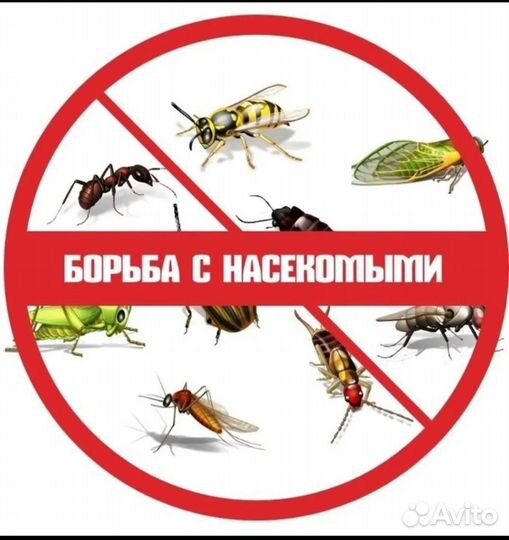 Уничтожение насекомых и грызунов