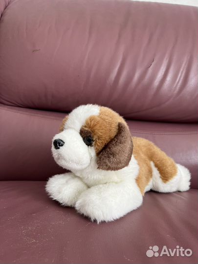 Щенок сербернара Aurora