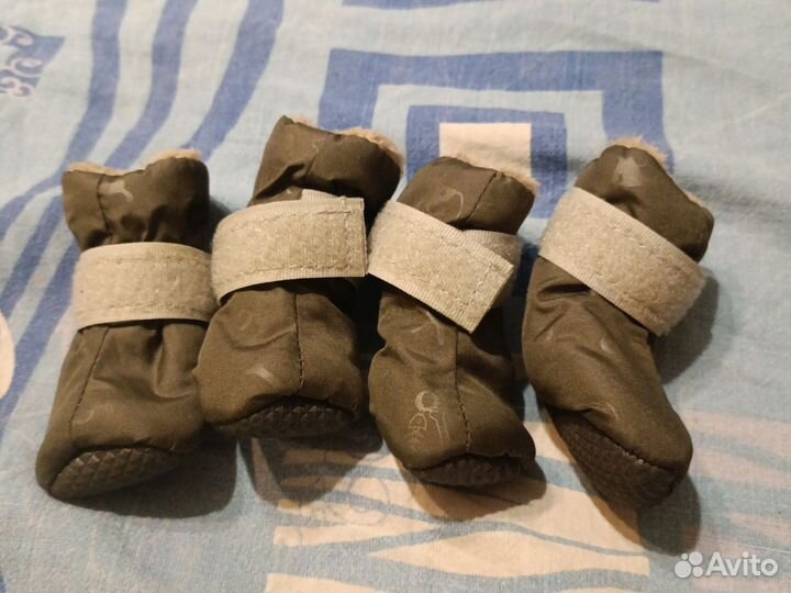 Обувь для собак