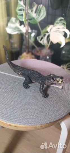 Модельки динозавров