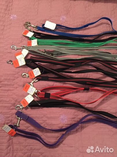 Новые поводки для собак
