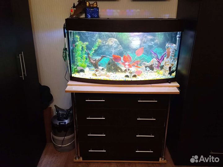 Аквариум260