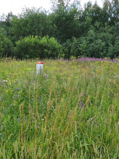 Участок 8,8 сот. (ИЖС)