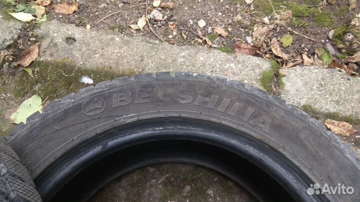 Белшина Artmotion 205/55 R16