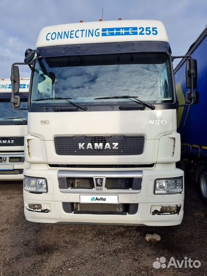 КамАЗ 5490-DC, 2019