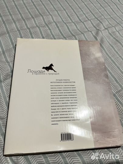 Брангар «Лошади в гармонии с природой»