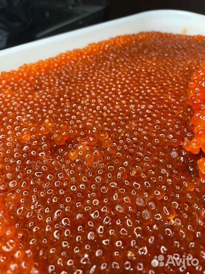 Красная икра розница и опт