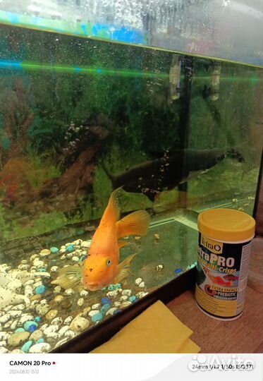 Аквариум 1 метр аксессуарами к нему