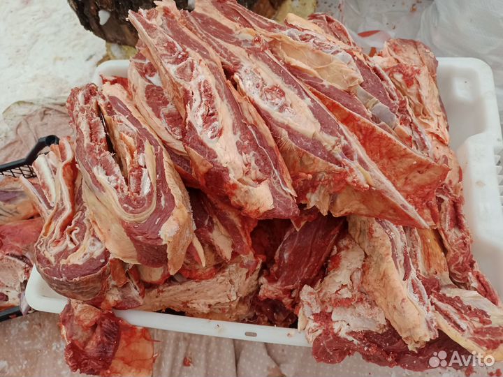Продам мясо говядина.халяль