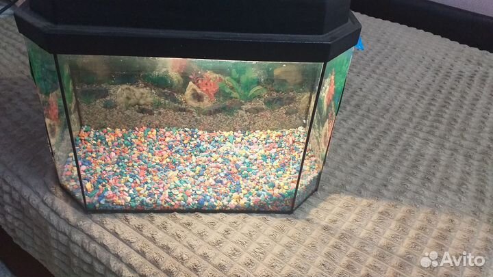 Аквариум