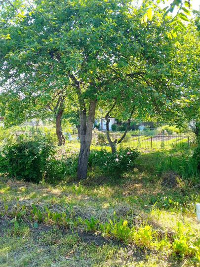 Дача 20 м² на участке 5 сот.