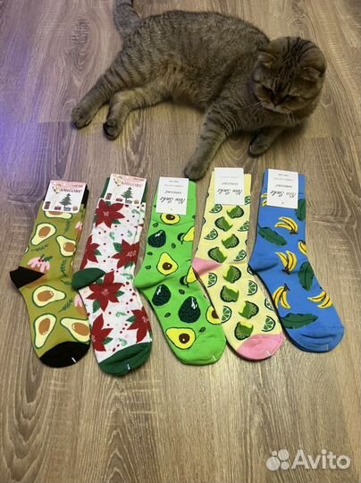 Новые модные носки