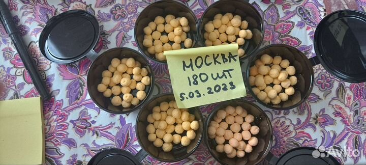 Анти -таракан