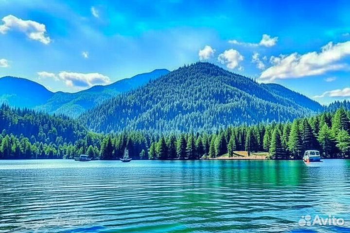 Экскурсии в Абхазию Отдых На Рице