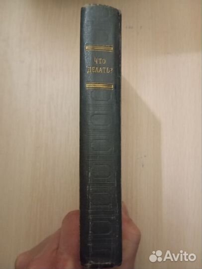 Н. Г. Чернышевский. Что делать