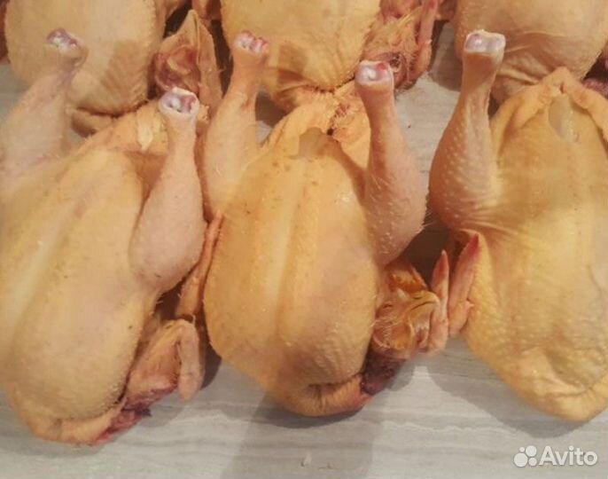 Мясо бройлера