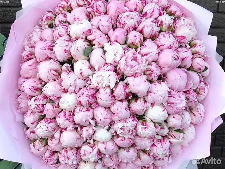 Пионы Доставка цветов букеты