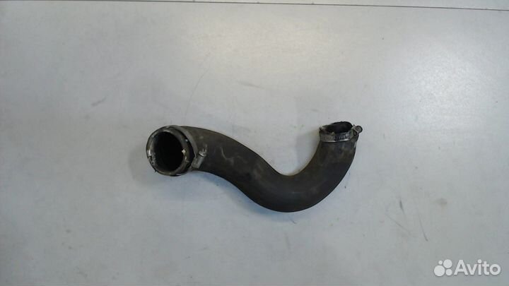 Патрубок интеркулера Ford Transit 2014, 2015