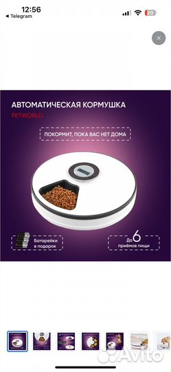 Автокормушке для собак и кошек