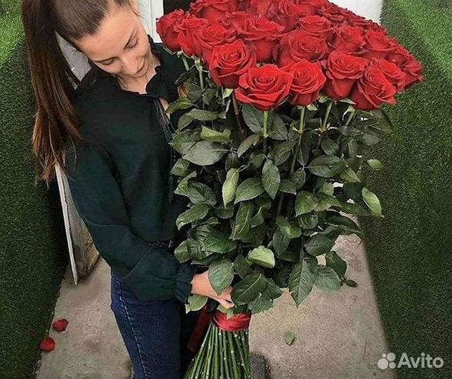 Розы гиганты 140 150 160 170 180 200