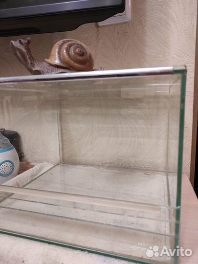 Аквариум для улиток