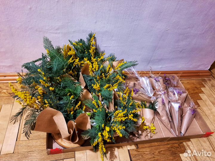 Кашпо для мимозы