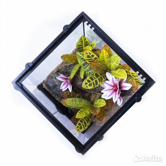 Оформление террариума под ключ