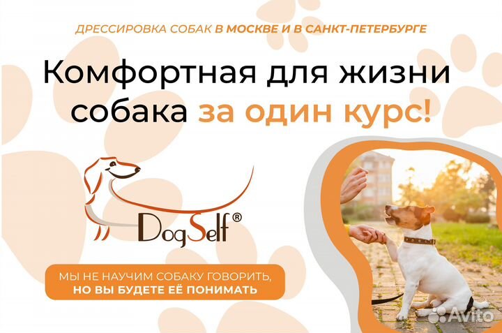 Дрессировка и воспитание собак / Кинолог