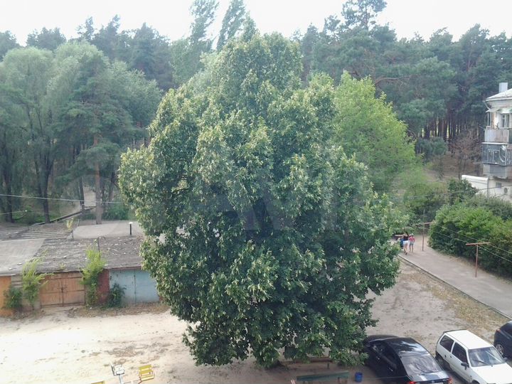 Гараж, 19 м²