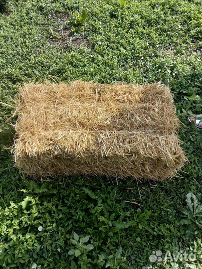 Солома пшеничная сено