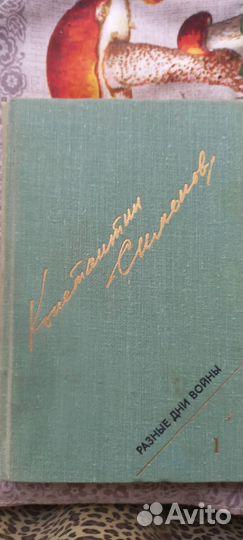 Константин Симонов. Разные дни войны. 2х томник