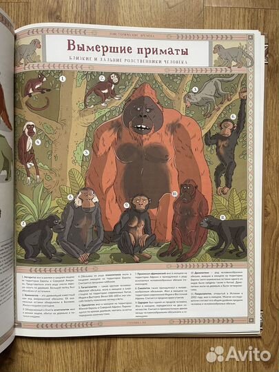 Атлас исчезнувших животных и другие книги