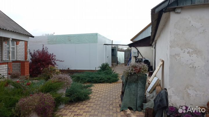 Холодильная камера