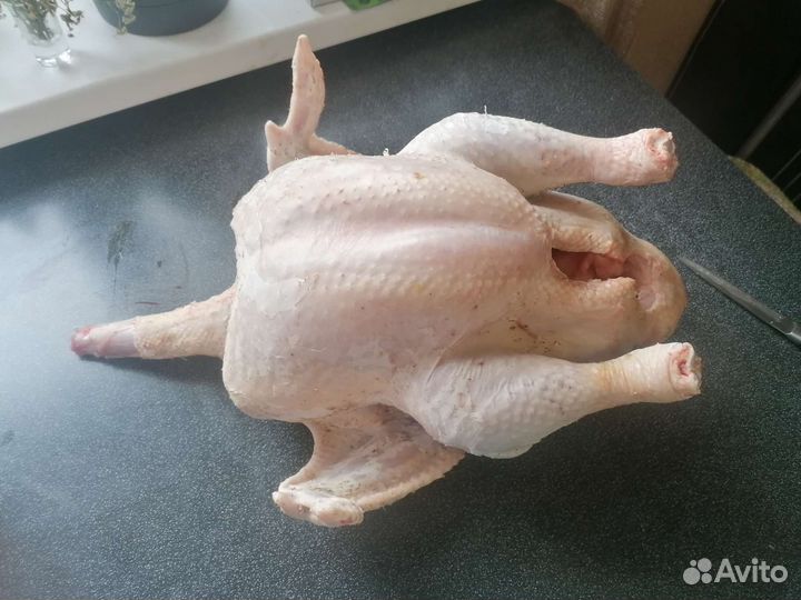 Мясо домашней индейки