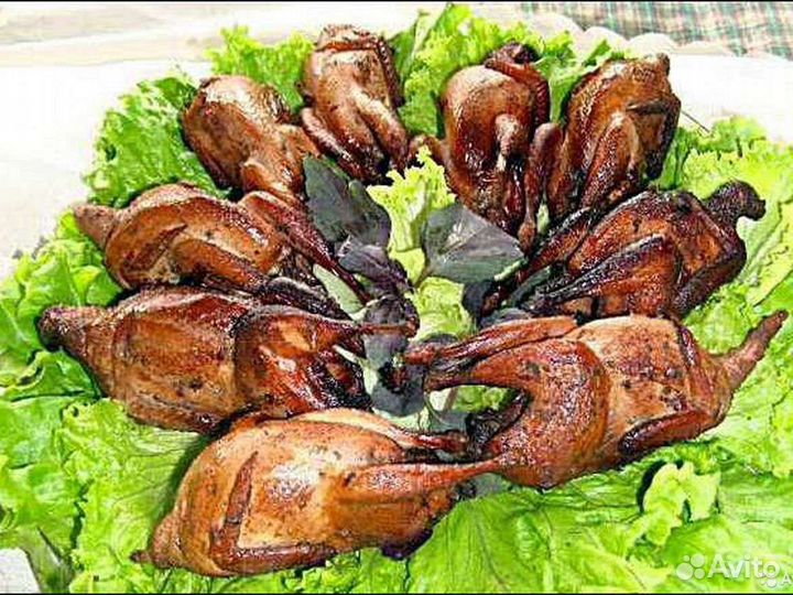 Мясо перепелов, копчёные перепела, копченое сало