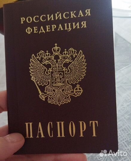 ВНЖ, РВП, Гражданство. Запись на ВНЖ, РВП