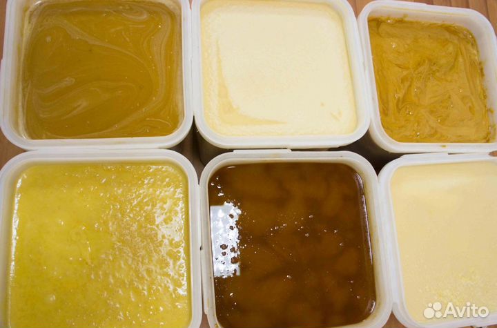 Мёд натуральный из Алтая опт