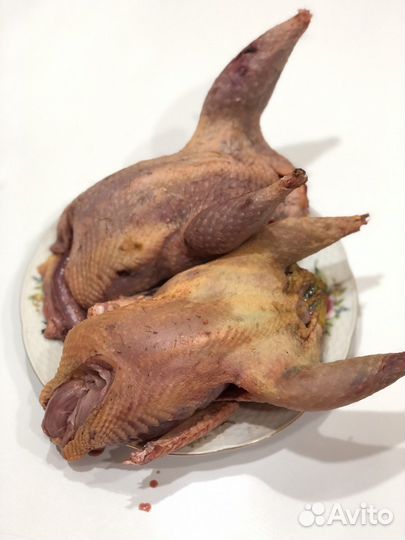 Мясо фазана