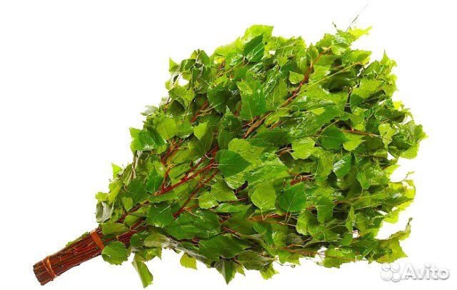 Веники для бани береза дуб пихта