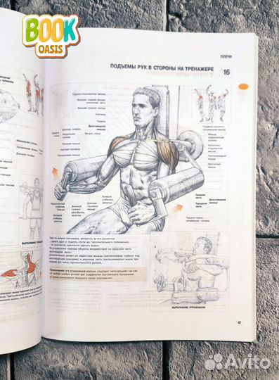 Анатомия силовых упражнений, Фредерик Делавье NEW