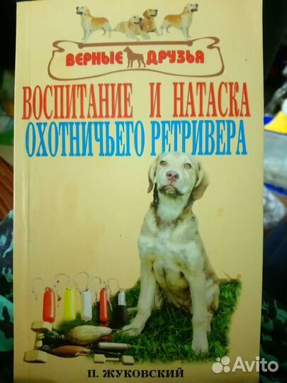 Воспитание и натаска охотничьего ретвивера