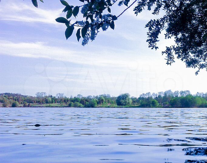 Участок 100 сот. (ИЖС)