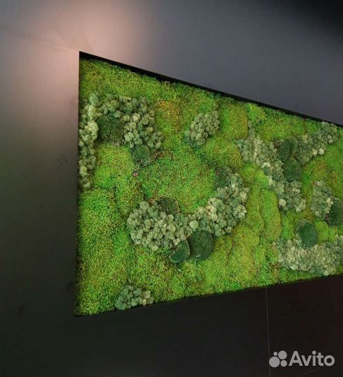 Фитокартина Панно из мха мох стабилизированный