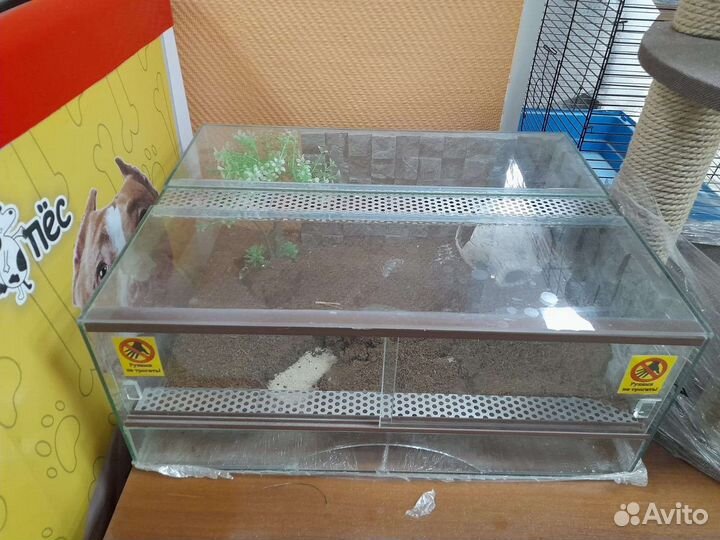 Террариум для рептилий