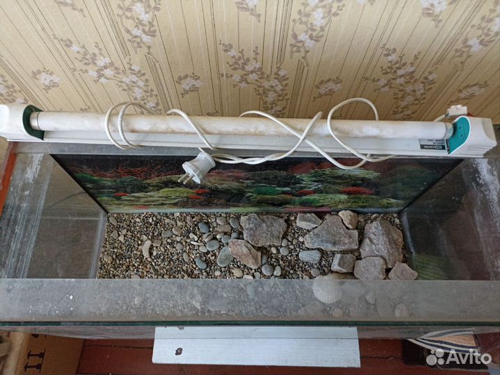 Аквариум