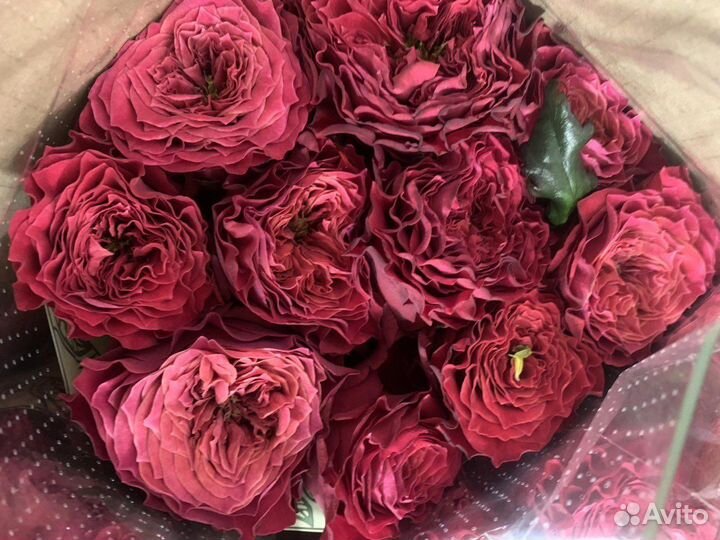 Цветы розы и букеты с доставкой