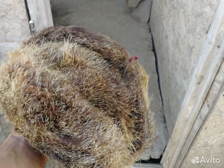 Шапка ушанка ондатра 80г