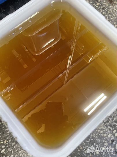 Свежий Майский мёд оптом