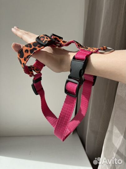 Анатомическая шлейка для собак